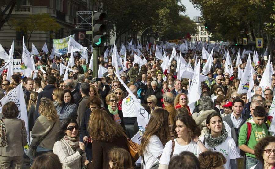 El Foro De La Familia Denuncia El Sectarismo Del Ayuntamiento De Valencia